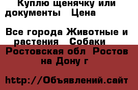 Куплю щенячку или документы › Цена ­ 3 000 - Все города Животные и растения » Собаки   . Ростовская обл.,Ростов-на-Дону г.